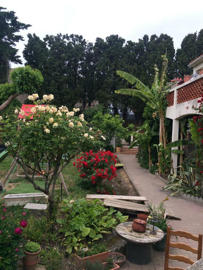 Haras Des Arcades Villa Perpignan Ngoại thất bức ảnh