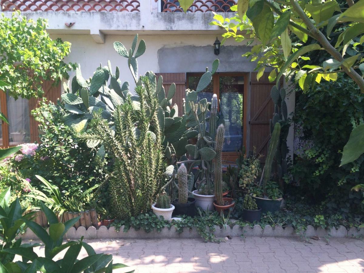 Haras Des Arcades Villa Perpignan Ngoại thất bức ảnh