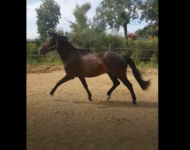 Haras Des Arcades Villa Perpignan Ngoại thất bức ảnh